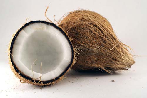 Coconut and Coir Products